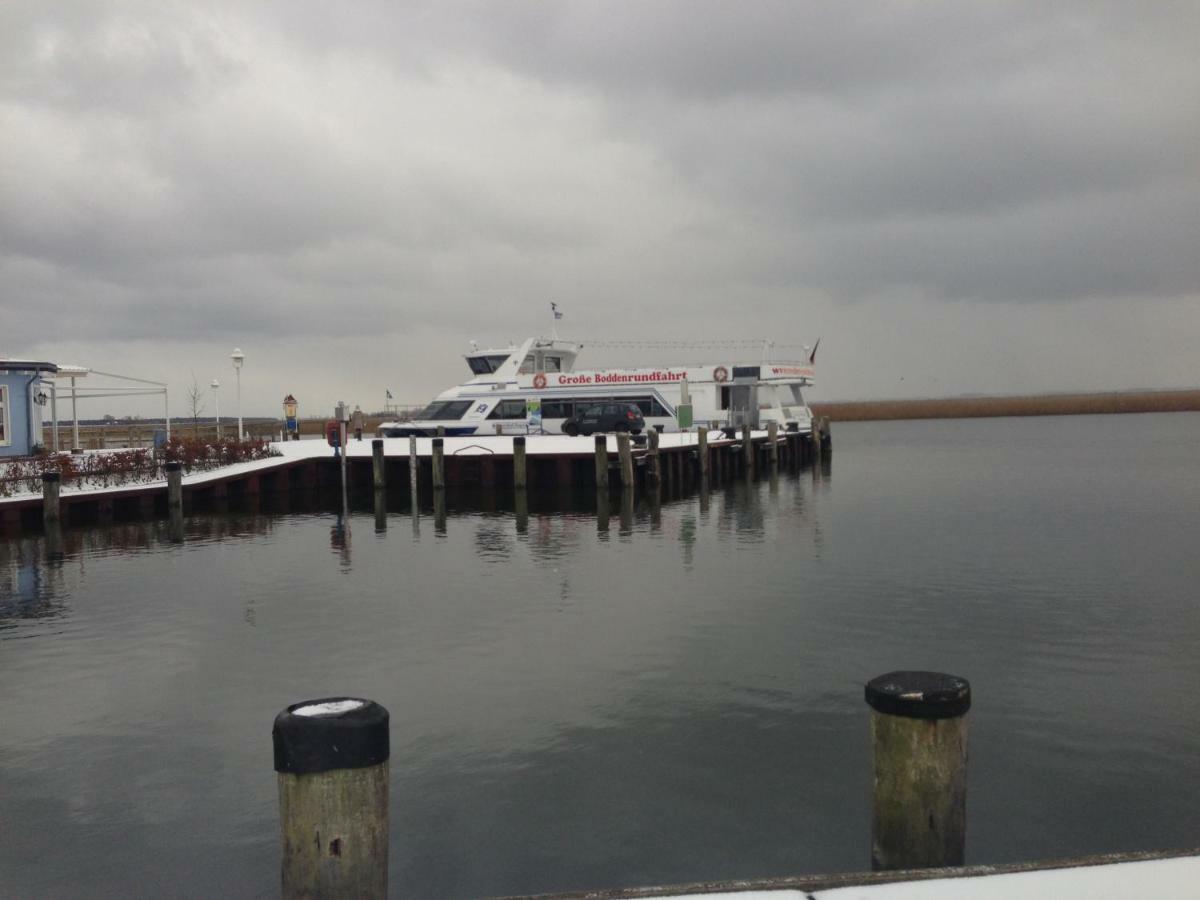 Fewo Am Alten Hafen - Zingst Ostseebad Zewnętrze zdjęcie