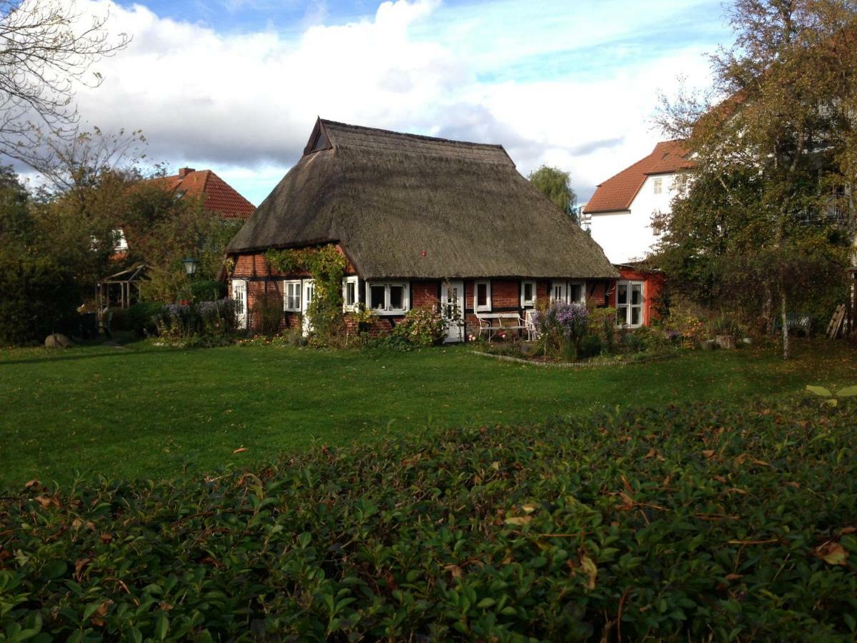 Fewo Am Alten Hafen - Zingst Ostseebad Zewnętrze zdjęcie